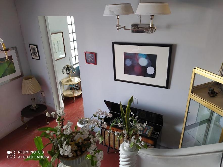 Casa Atenas (Adults Only) Guadalajara Exterior photo